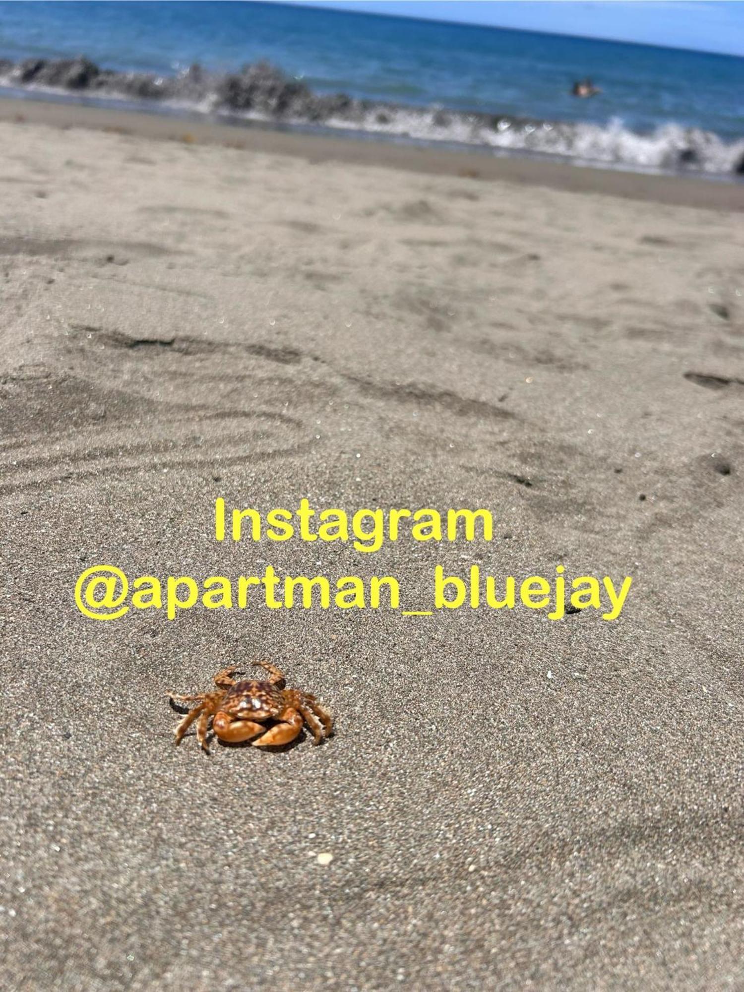Bluejay Apartamento Playa Del Cura Playa Del Cura  Eksteriør billede